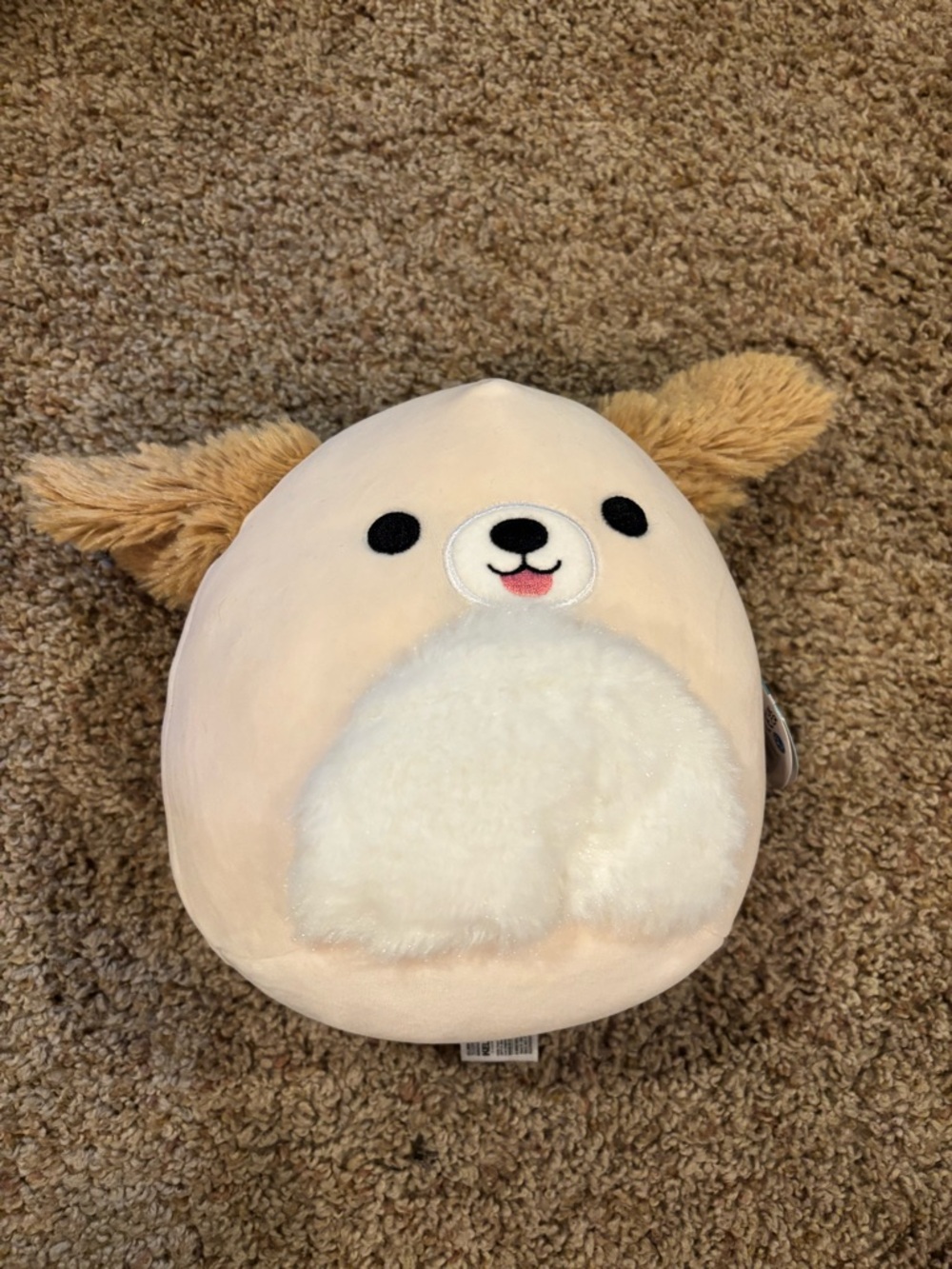7 inch Maggie the Dog Squishmallow